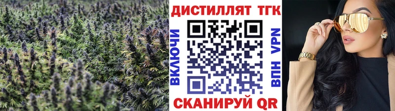 ТГК THC oil  Купить где  Моршанск 