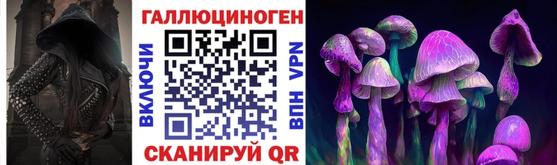 Купить закладки  Моршанск  Галлюциногенные грибы Magic Shrooms 